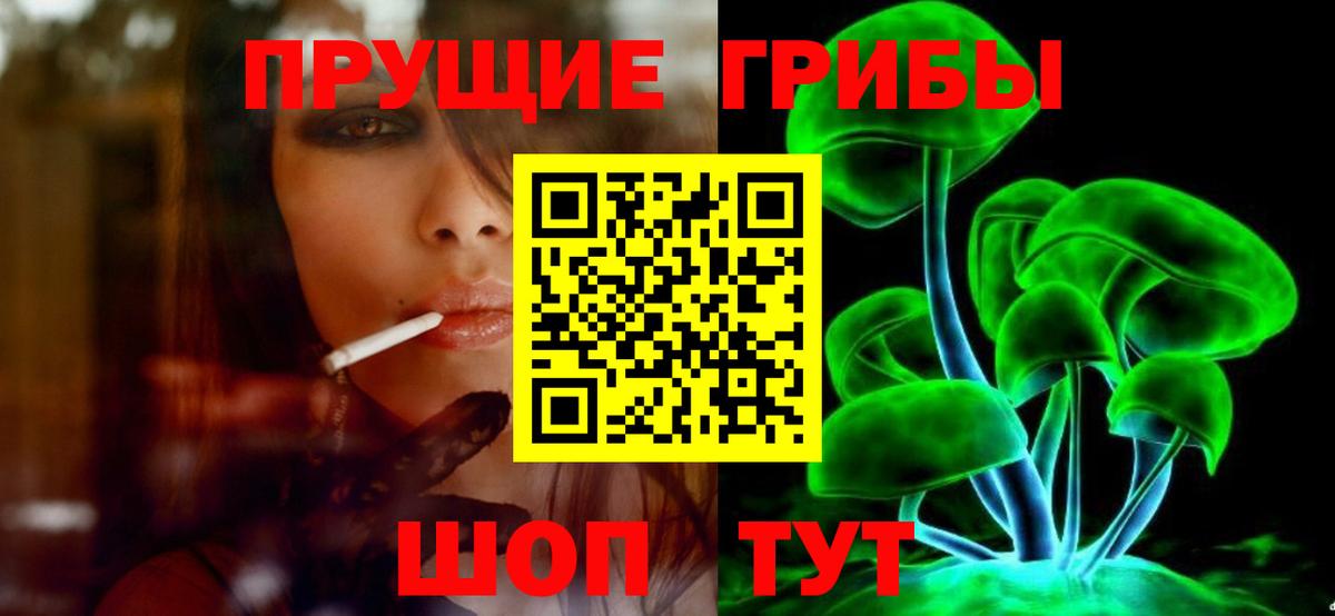 Владикавказ  Псилоцибиновые грибы Magic Shrooms  Вход с VPN 